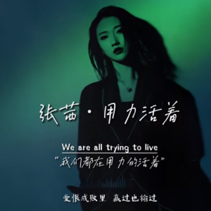 相册一加一