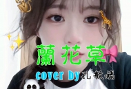 《兰花草》-银霞 Coverby 孔敏嫣 吉他弹唱 张哲源吉他