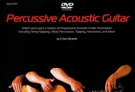 Percussive Acoustic Guitar原声（民谣）吉他打板技巧