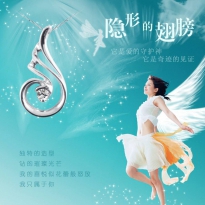隐形的翅膀