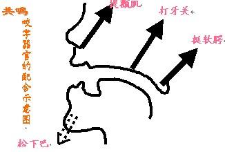 4958422_B4CB1A3A15A9BAD13FB682EBF2EEF767.jpg