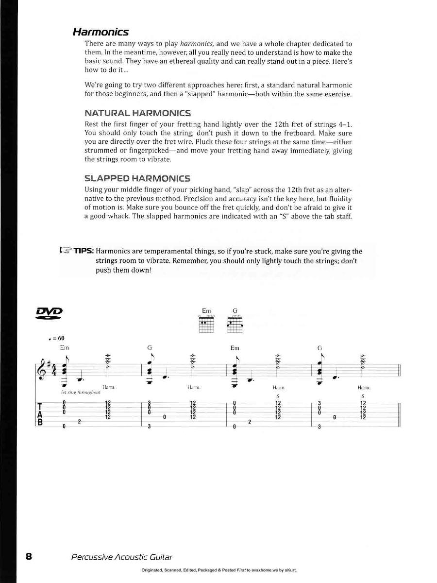 Percussive Acoustic Guitar0007.jpg
