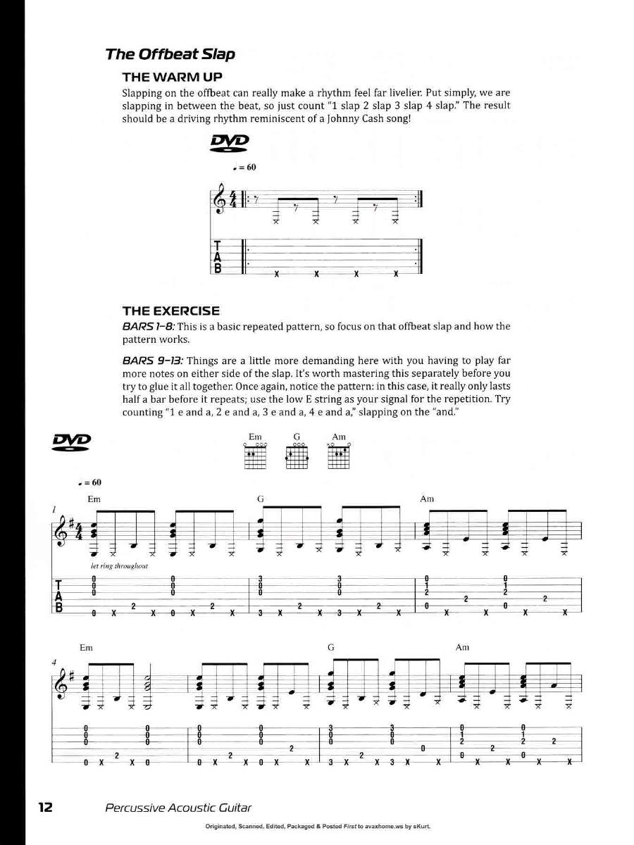 Percussive Acoustic Guitar0011.jpg