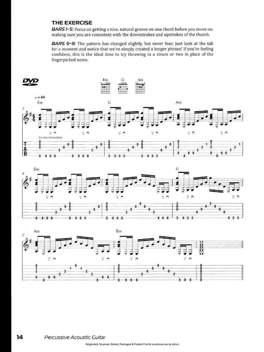 Percussive Acoustic Guitar0013.jpg