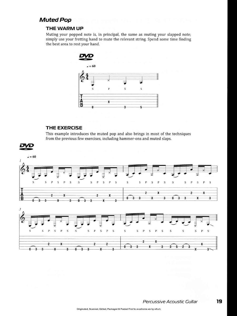 Percussive Acoustic Guitar0018.jpg