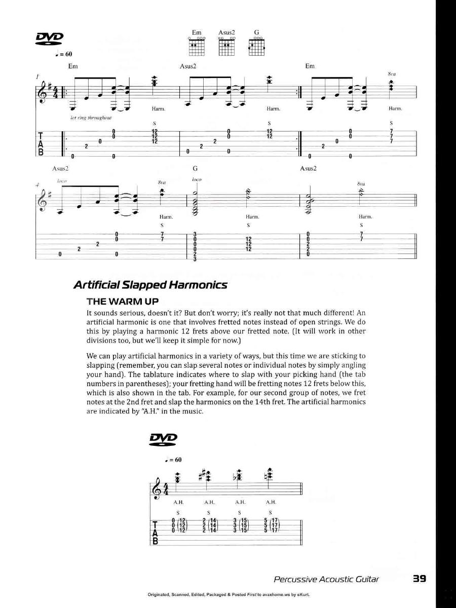 Percussive Acoustic Guitar0038.jpg