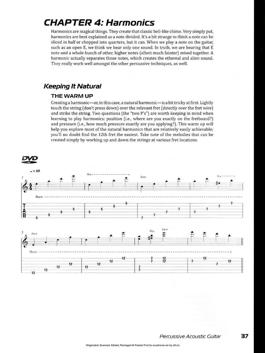 Percussive Acoustic Guitar0036.jpg