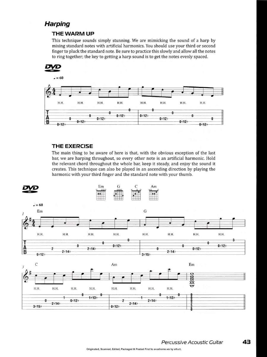 Percussive Acoustic Guitar0042.jpg