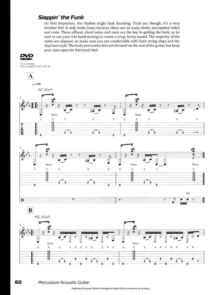 Percussive Acoustic Guitar0059.jpg
