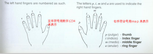 mp49465670_1450516787262_6.png