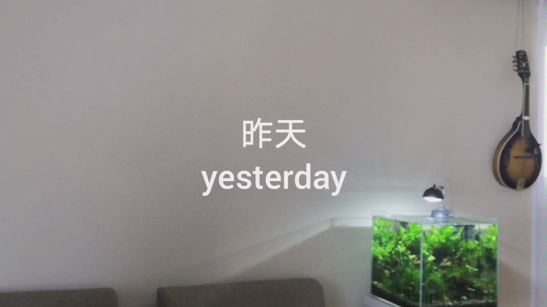 捕获.jpg