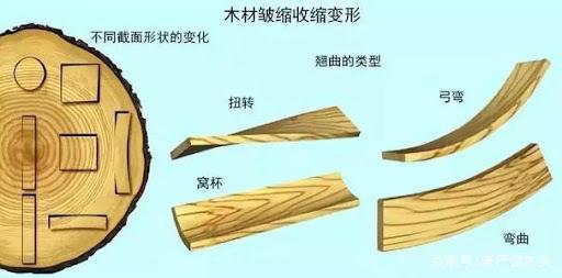 d1a20cf431adcbef145ec8c45c35b0d4a2cc9f2a.jpeg