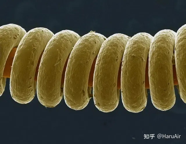 v2-a061b7c1232b74573b3cced5d6572175_b.jpg
