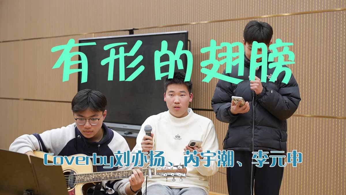 有形的翅膀.jpg