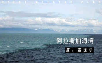 菲道尔《阿拉斯加海湾吉他谱》C调原版弹唱谱