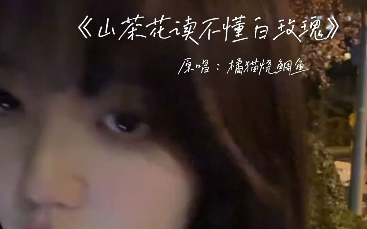 山茶花读不懂白玫瑰_柯柯柯啊_C调弹唱六线谱