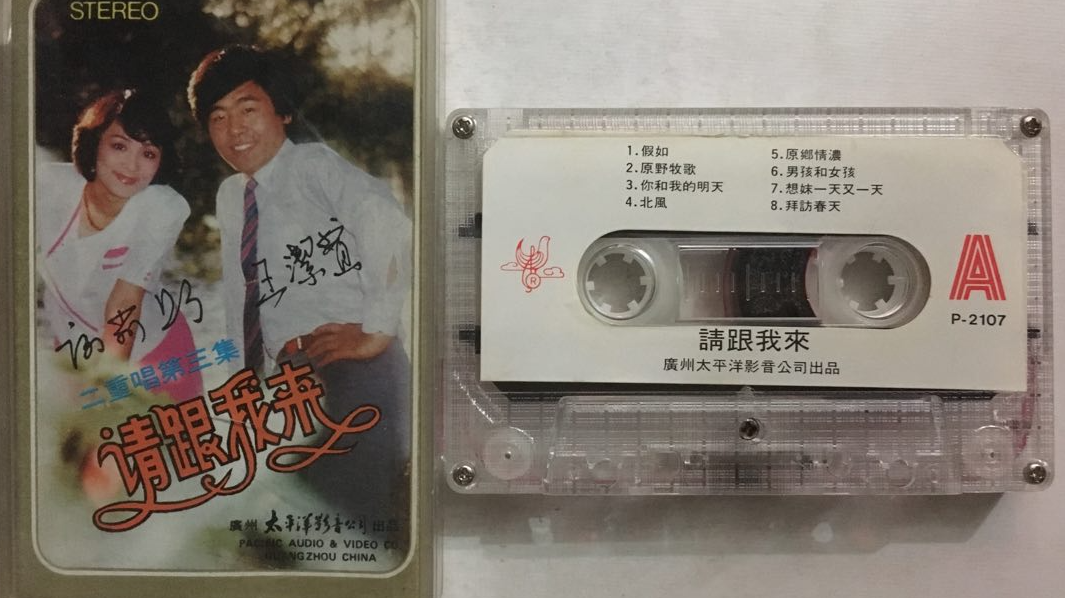 苏芮《请跟我来》吉他谱 G调弹唱六线谱