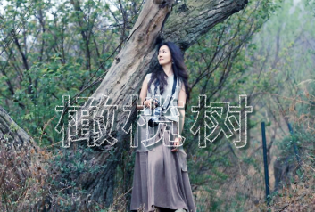 《橄榄树》吉他谱_齐豫_C调原版编配_吉他弹唱六线谱