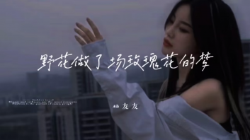 野花做了场玫瑰花的梦吉他谱_杨友友_C调原版