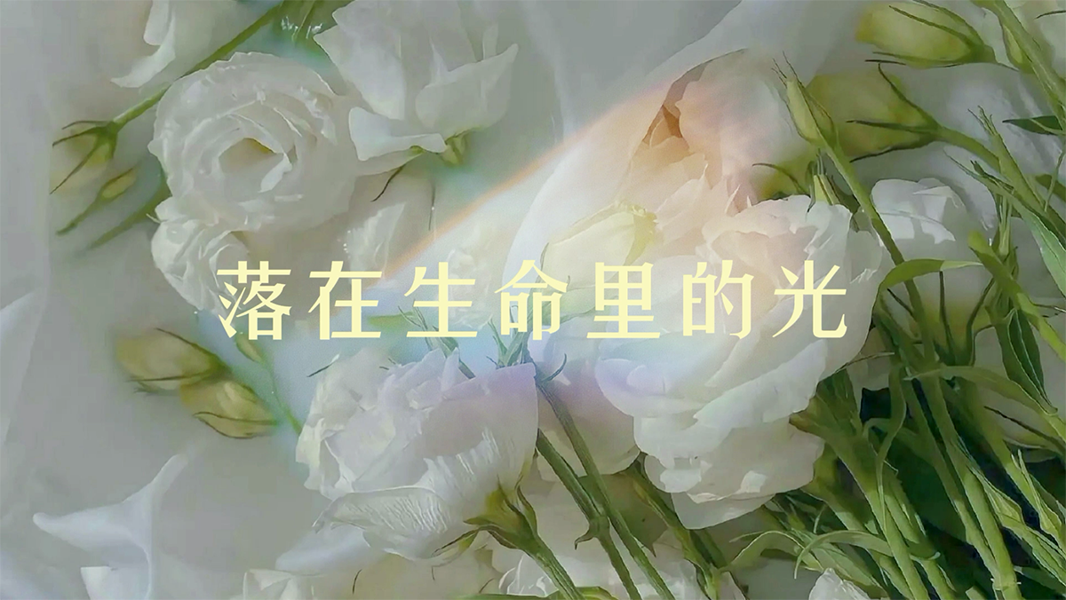 落在生命里的光吉他谱_尹昔眠_G调标准版_完整弹唱谱