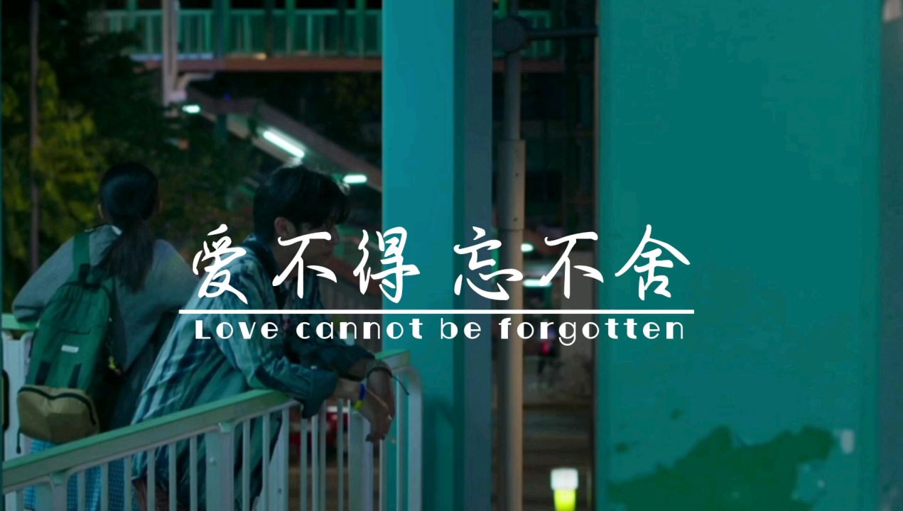爱不得忘不舍吉他谱_白小白_C调弹唱谱
