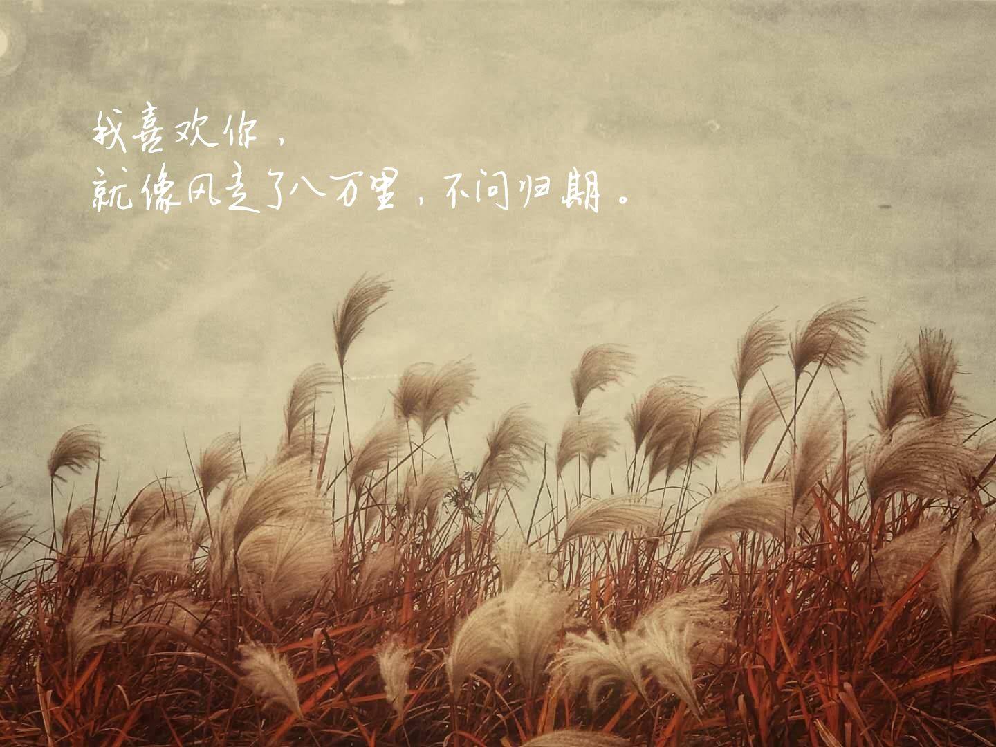 《我爱你不问归期》林华勇 周洁颖作词 林华勇作曲 白小...