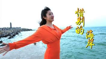 龙飘飘《惜别的海岸》吉他谱-G调原版六线谱