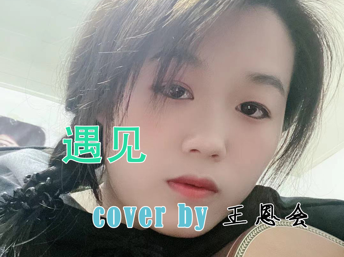 遇见-孙燕姿 cover by 王恩会 吉他弹唱 赵宇宏吉他