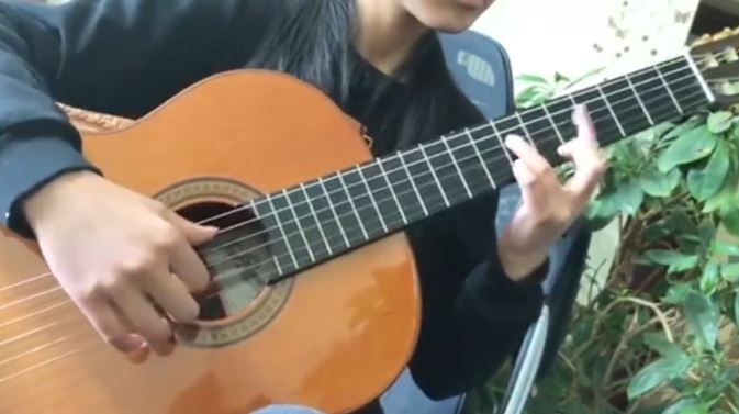 古典吉他曲- a la bo风格随想曲