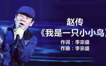 我是一只小小鸟吉他谱_赵传_G调原版吉他弹唱六线谱