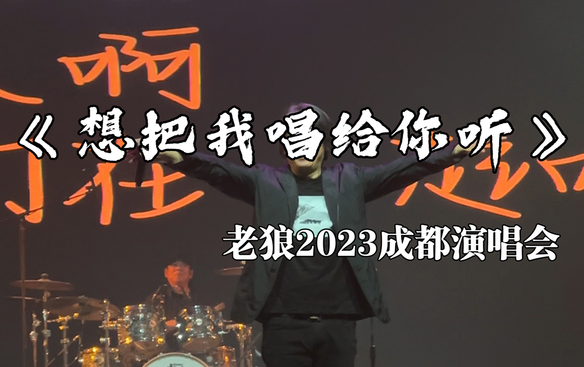 老狼/王婧《想把我唱给你听》吉他谱_G调吉他弹唱谱