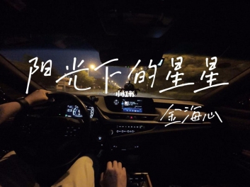 阳光下的星星吉他谱 - 金海心 - G调吉他弹唱谱