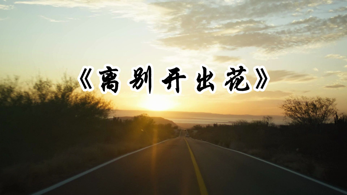 离别开出花吉他谱_G调弹唱六线谱_就是南方凯