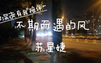 苏星婕《不期而遇的晚风》弹唱谱