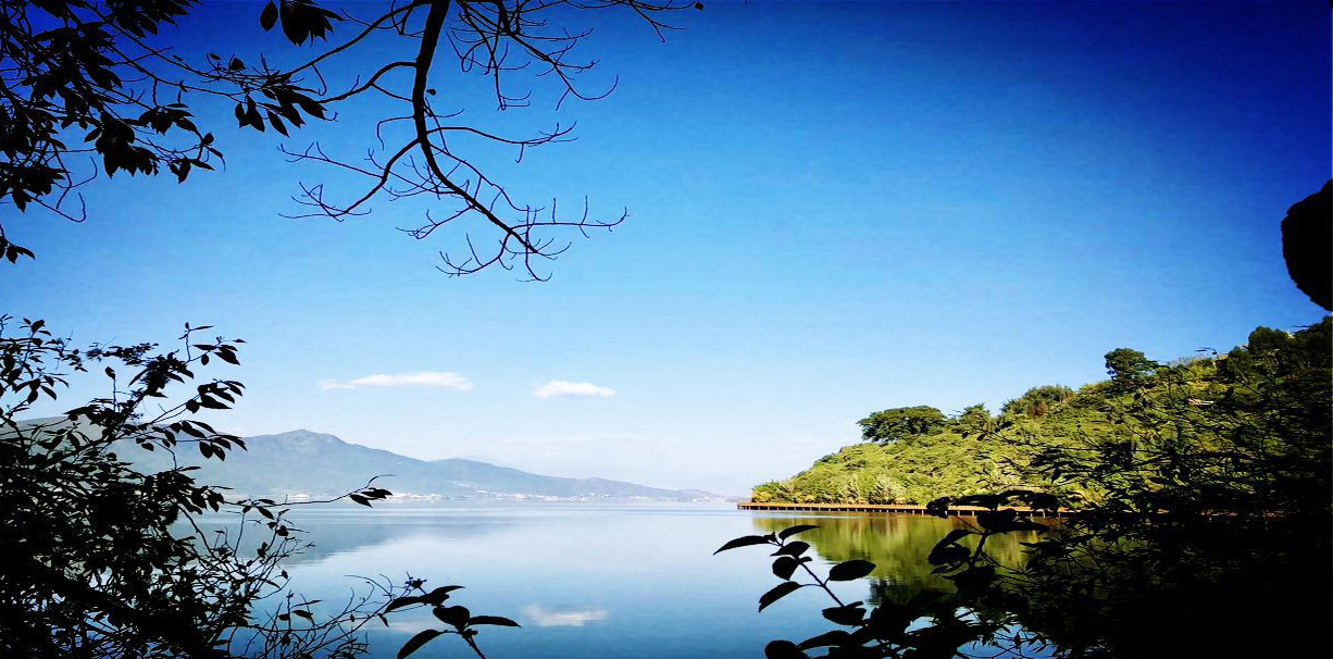 《万水千山总是情》 汪明荃 简谱 民谣鱼制谱