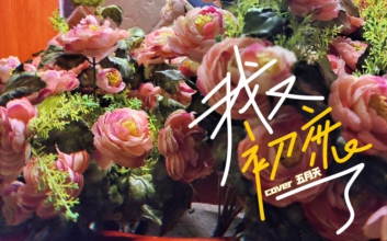 我又初恋了吉他谱_五月天_G调_弹唱谱
