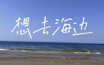 想去海边吉他谱_D调女生版_夏日入侵企画_吉他弹唱