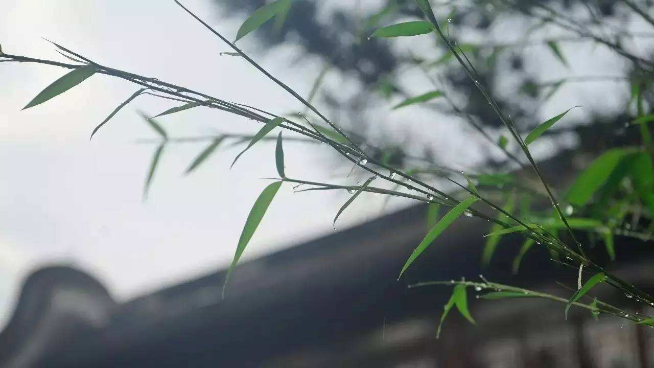 《六月的雨》胡歌演唱歌曲吉他弹唱六线谱