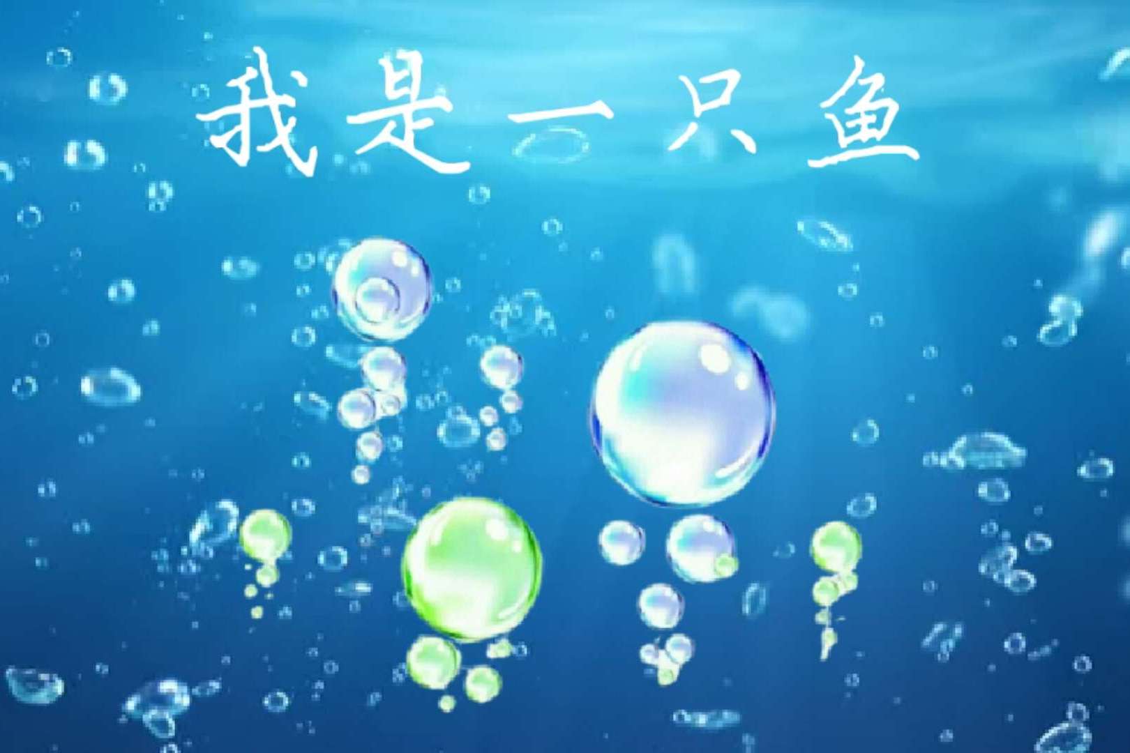 我是一只鱼吉他谱_落日飞车/任贤齐_C调