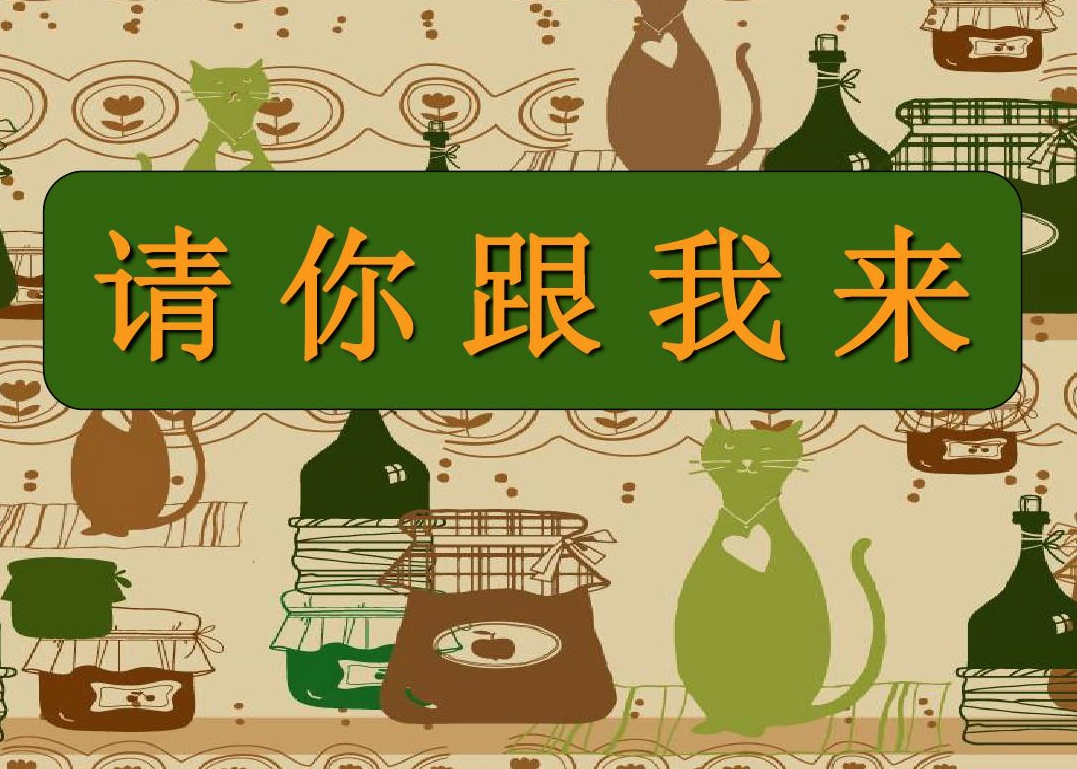请跟我来-指弹谱 吉他独奏谱 六线谱