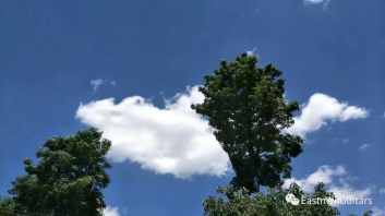 看看湿度会对吉他下怎样的毒手