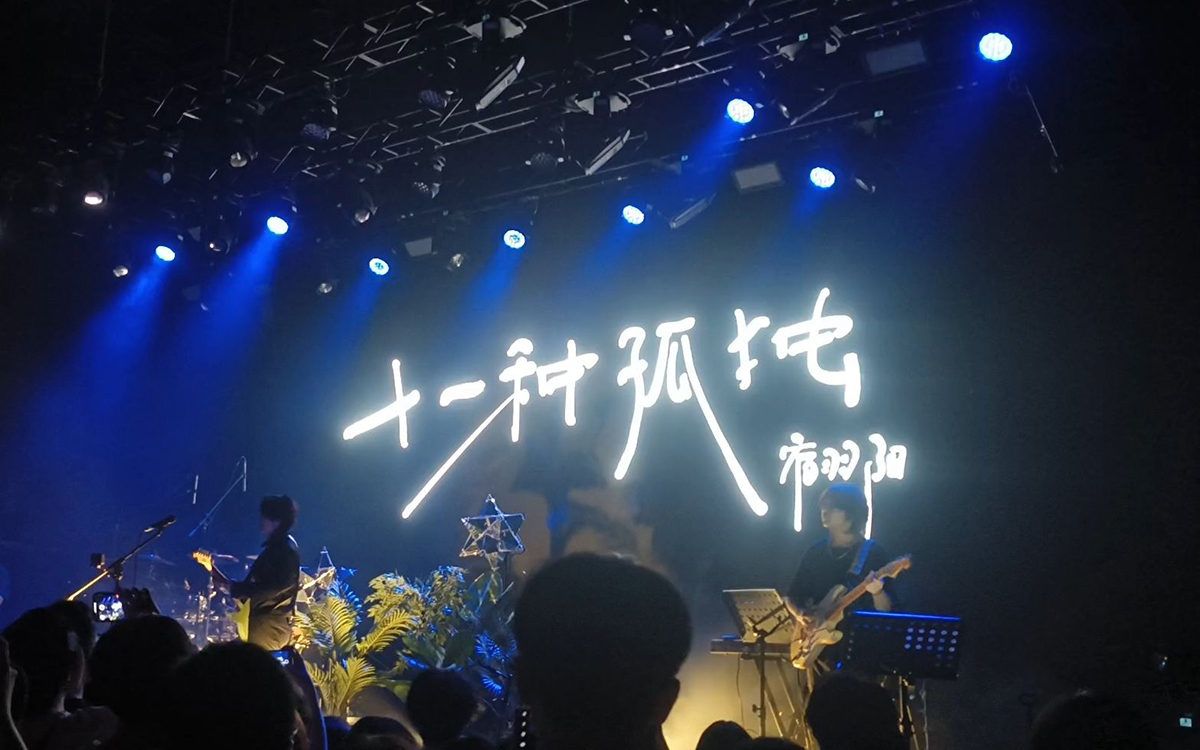 十一种孤独吉他谱 C调 宿羽阳