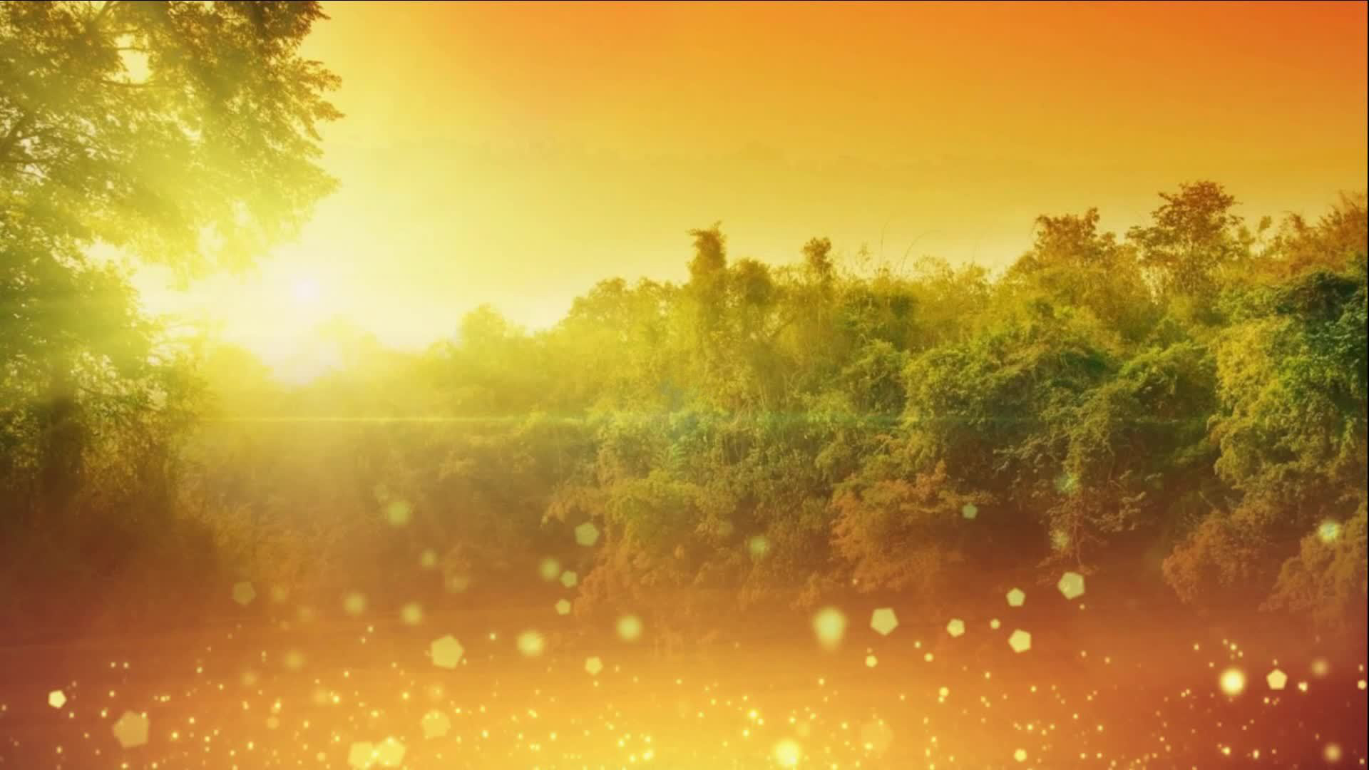 阳光总在风雨后 许美静  吉他弹唱六线谱 精选易上手