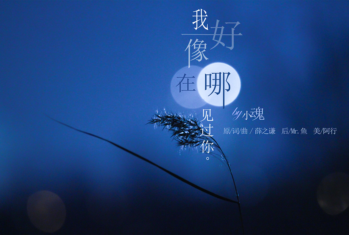 我好像在哪见过你吉他谱_薛之谦_C调原版
