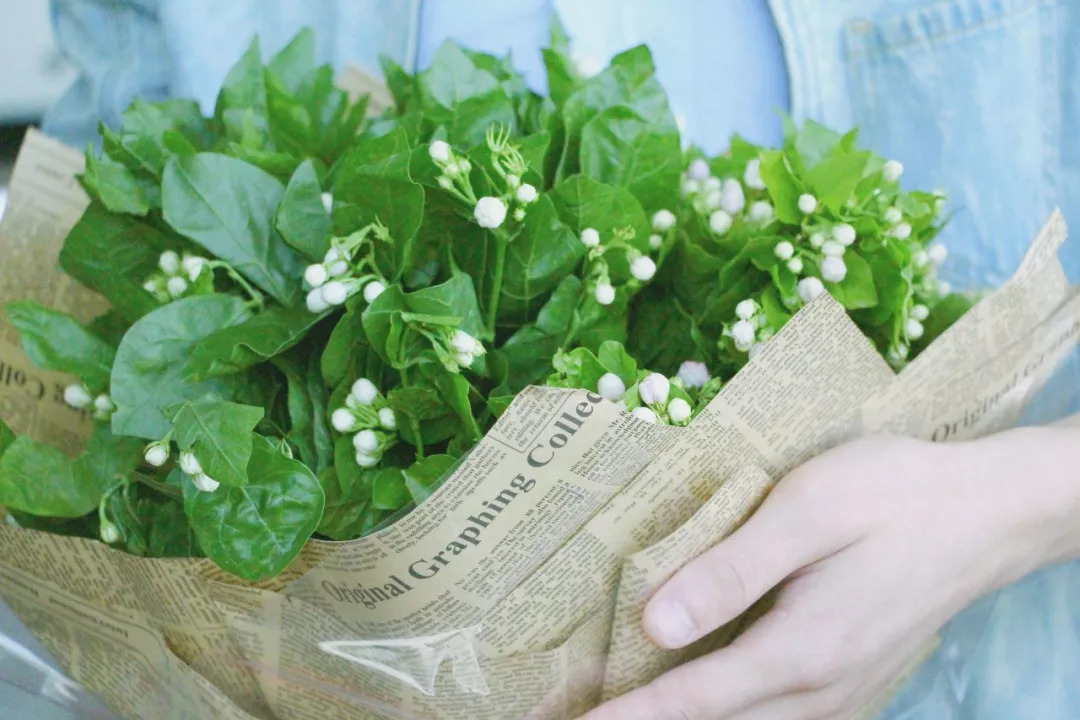 《茉莉花》吉他谱_C调吉他独奏谱