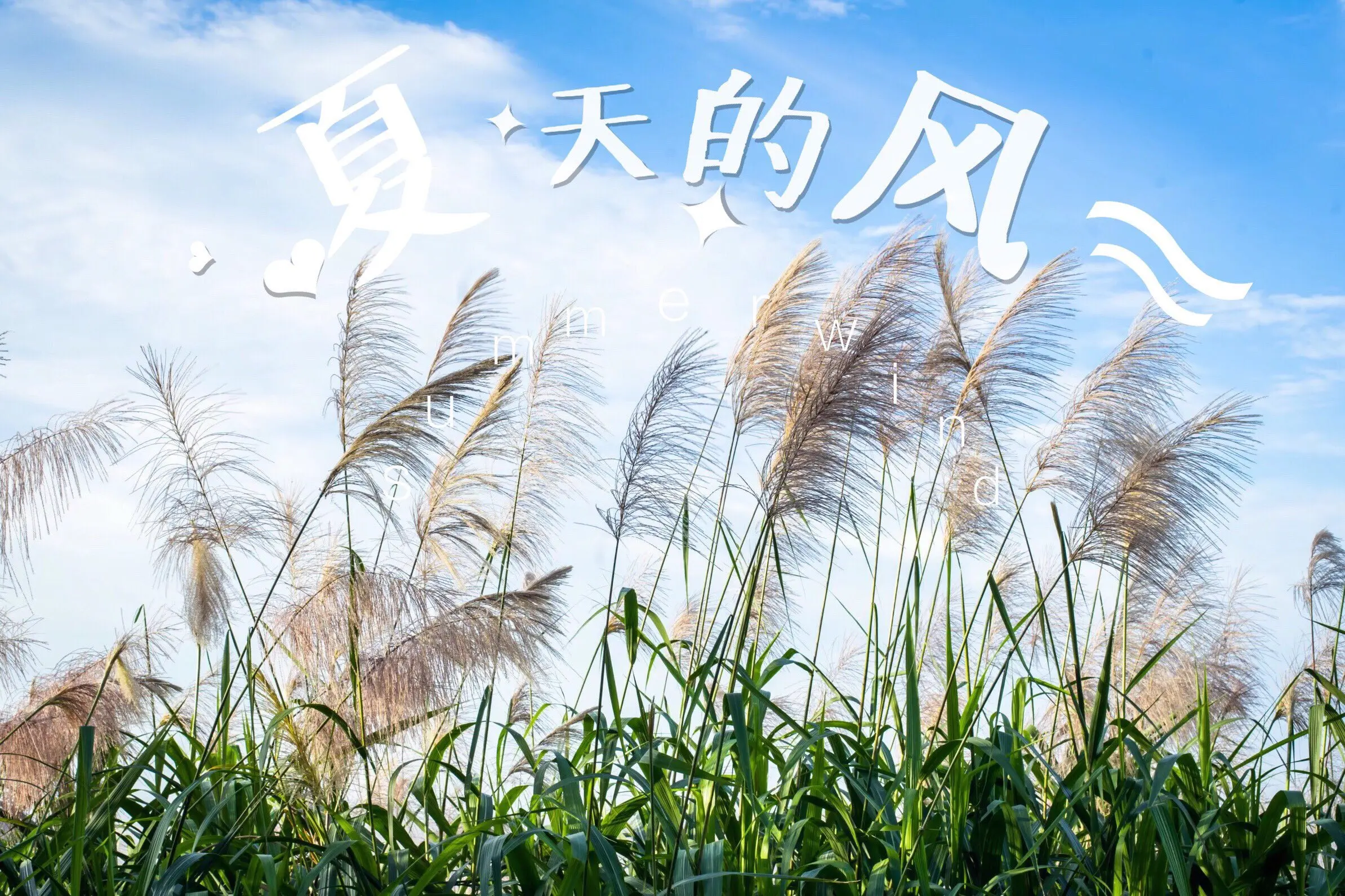 《夏天的风》（夏天の风）温岚 吉他弹唱六线谱