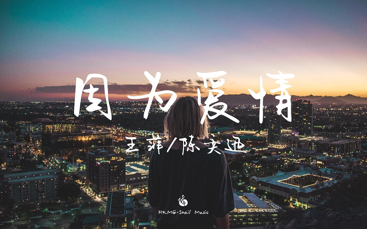 因为爱情吉他谱-王菲/陈奕迅-C调超原版