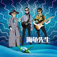 海龟先生